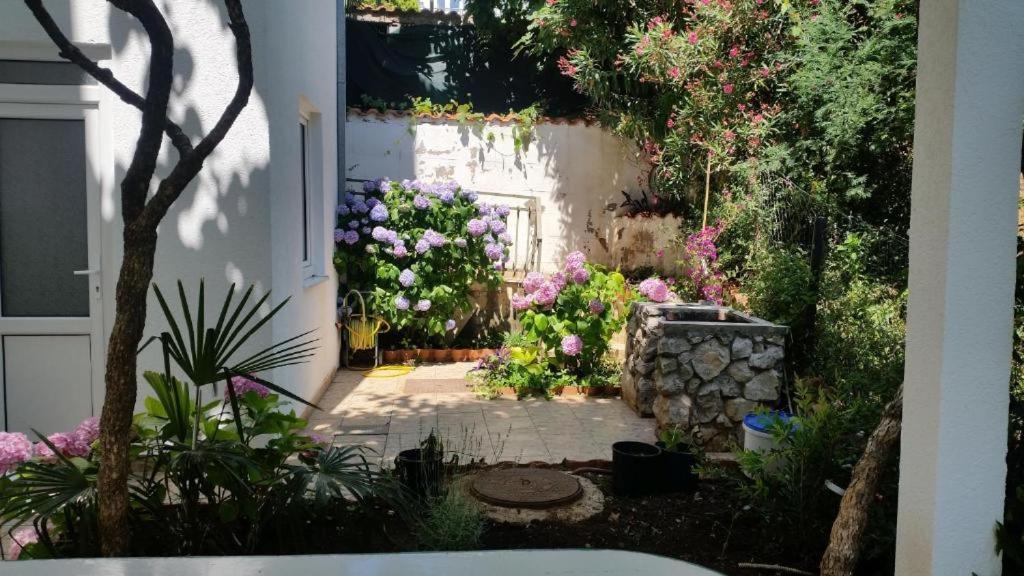 Villa Angelina Kumbor Exteriér fotografie